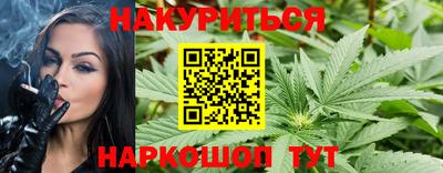 сатива Сочи