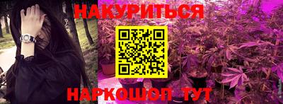 сатива Сочи