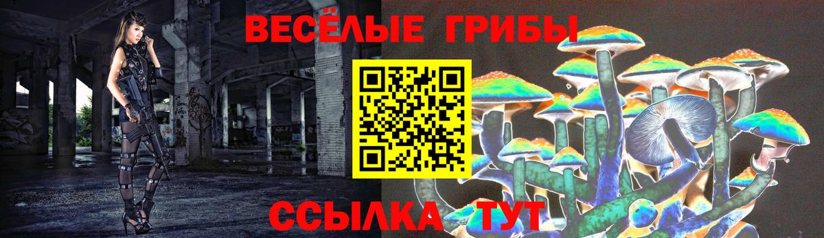 Волжск  Псилоцибиновые грибы Psilocybe  как найти закладки  Вход с VPN 
